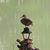 Betty Jo Redmond's profile image