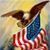 Barry Biermann's profile image