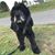 Ben Wilson's profile image