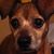 Kristin Bonsee's profile image