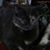 Rhonda K Cottrell's profile image