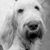 Jeani Barchalk's profile image