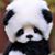 Amanda Lea Williams's profile image