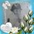 Aicha Houria Gastel's profile image