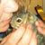 Tami Dean's profile image