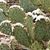 Yoly Hughson's profile image