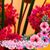 Rowina Monteiro Amick's profile image