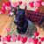 Georgette McElroy's profile image