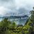 Tracey Wimer's profile image