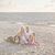 Carey Rattigan-Busatto's profile image