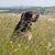 Rocky Damson's profile image