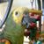 Daniel Decker's profile image