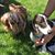 Susan Ashcraft's profile image