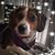 Debbie Doherty's profile image