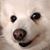 Tim Moulder's profile image