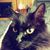 Diana Lange's profile image