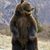 Ralph Mogelinski's profile image