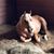 Kelly Sheffield's profile image