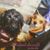 Melissa Painter's profile image