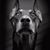 Radek Hosma's profile image