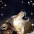 Gina Williams's profile image