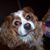 Judy Wolfe Bullick's profile image