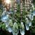 Pam Baxter's profile image