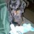 Kathy Ann's profile image