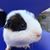 James Chien's profile image
