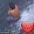 M. Brian Herrick's profile image