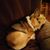 Deana Niemeier's profile image