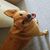Diana Hosack's profile image