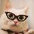 Donna Frederick's profile image