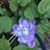 Suzanne Lajeunesse Busta's profile image