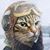 Ron Rauba's profile image