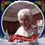 Donna Lee Whitzell's profile image