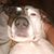Darrin Burch's profile image