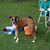 Kathleen Haney DiPetta's profile image
