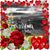 Allison Frenzel Lange's profile image