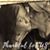 Stacey Jackson-Payton's profile image