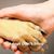 Terri Lamers's profile image