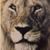 Timothy Flagg's profile image