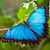 Jill Maroney Jackson's profile image