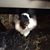 Gayle E. Anderson's profile image