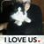 Amy Dahlin's profile image