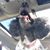 Lisa Cellura's profile image