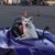 Perry Richardson's profile image