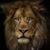 Zekaryah Yashar'al's profile image