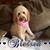 Jayne Hillman's profile image