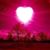 Nicole Harrison Mecham's profile image